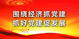 党建