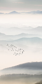 新中式山水玄关