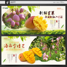 芒果