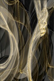 抽象透明金色线条飘带装饰画