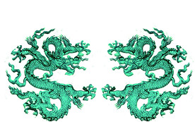 龙
