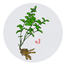 百部