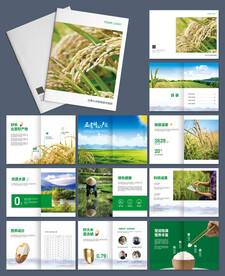 五常大米招商宣传画册