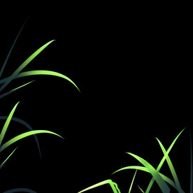 绿色小草