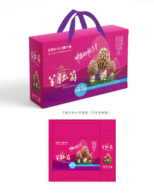 羊肚菌设计