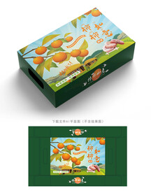 柿饼包装