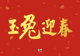 兔年