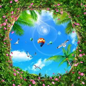 蓝天白云椰子树