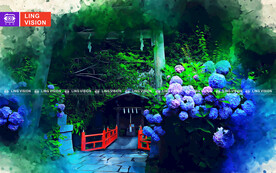 紫阳花