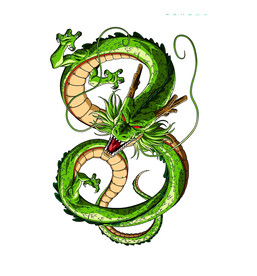 龙
