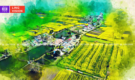 乡村田野