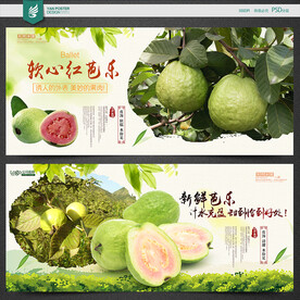 芭乐