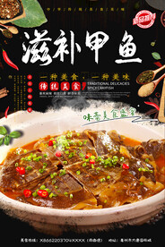 滋补甲鱼