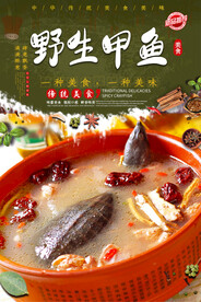 野生甲鱼