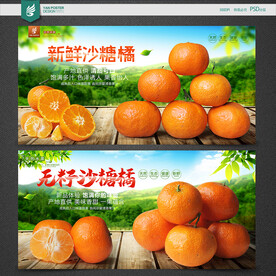 沙糖橘