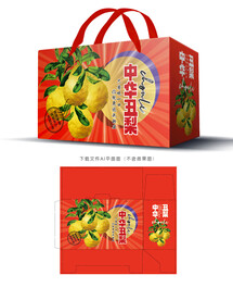 中华丑梨包装 