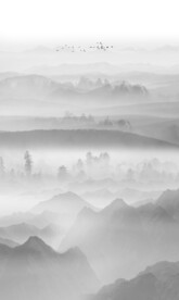 竖幅水墨画
