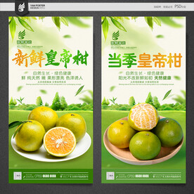 皇帝柑