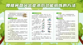 腰椎间盘突出症术后功能锻炼方法