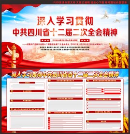 四川省十二届二次全会精神