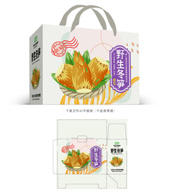 冬笋设计