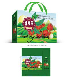红毛丹设计