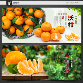 沃柑