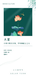 大暑海报
