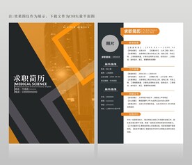 金融简历