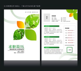 人才简历