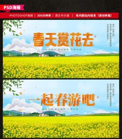 油菜花