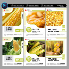 玉米展板