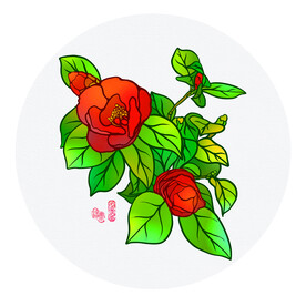 山茶花