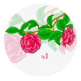 山茶花