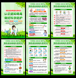诺如病毒 