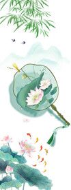 荷花