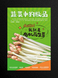 花生芽海报