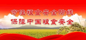 粮食安全