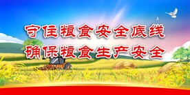 粮食安全
