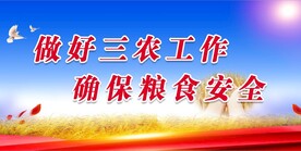 粮食安全
