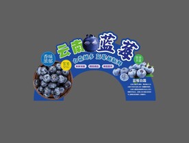 蓝莓