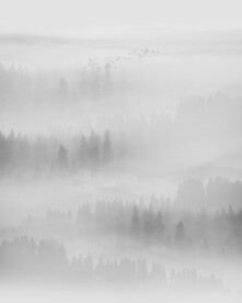 水墨山水画