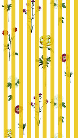 手绘花 