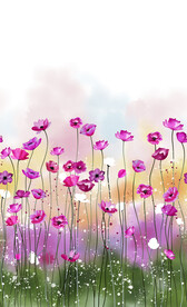 手绘花 