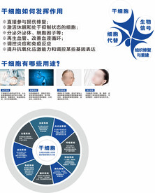 大健康