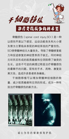干细胞