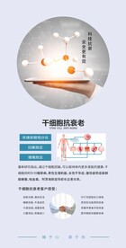 干细胞
