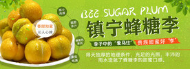 蜂糖李灯片