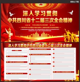 四川省十二届三次全会精神