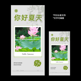 你好  夏天